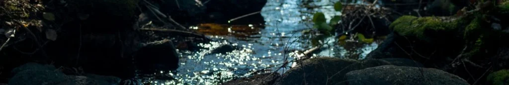ruscello in un bosco per ispirare il rumore dell'acqua