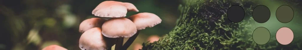 funghi e muschio per ispirare una palette con i colori della natura