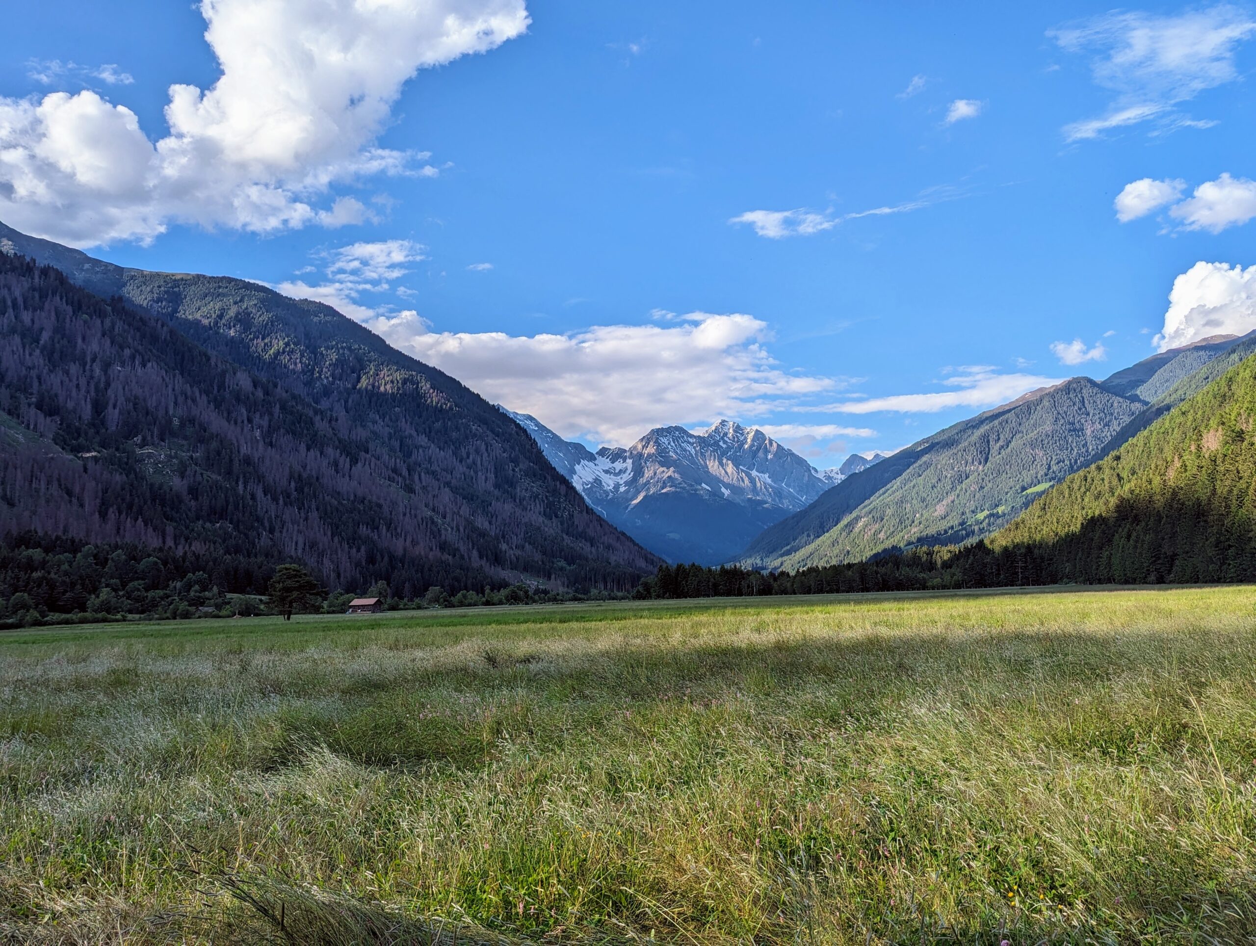Scopri di più sull'articolo Quando il primo respiro profuma di casa – ritrovare me stessa tra le montagne