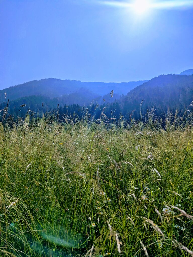 Montagne e campi