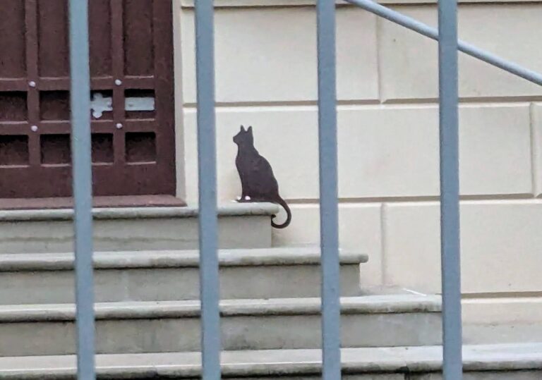Sagoma in metallo di un gatto nero ferma sui gradini di un ingresso, simbolo di osservazione e meraviglia quotidiana.