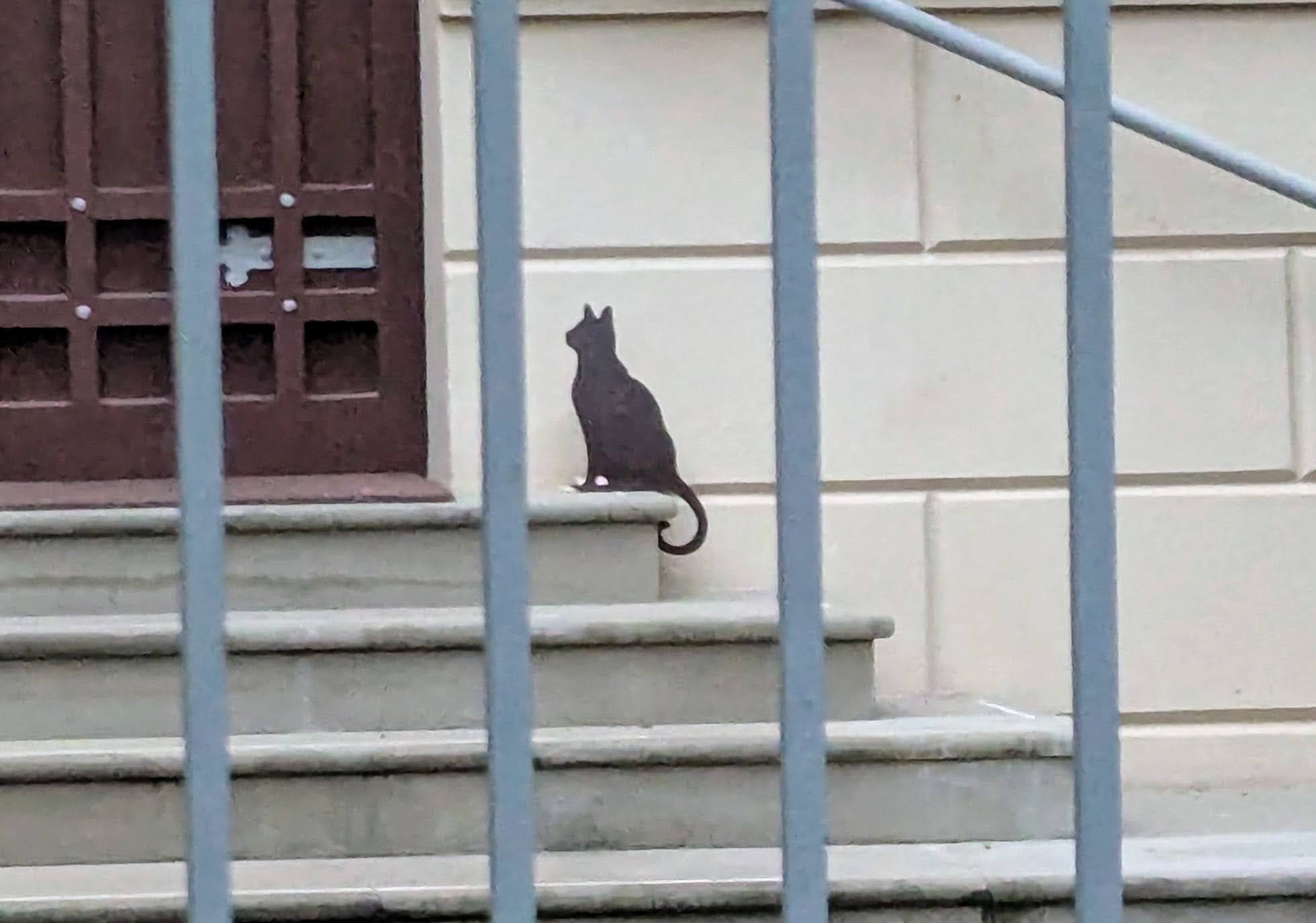 Al momento stai visualizzando Quel gatto non si muove mai!