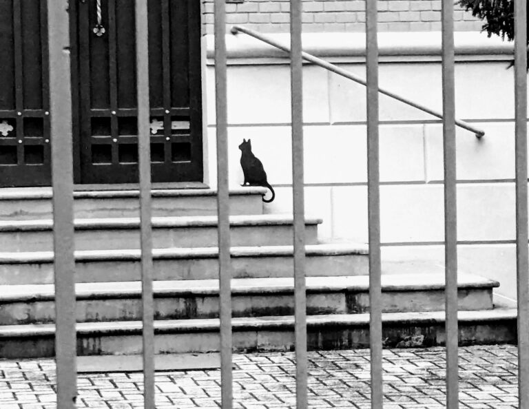 Sagoma in metallo di un gatto nero ferma sui gradini di un ingresso, simbolo di osservazione e meraviglia quotidiana.