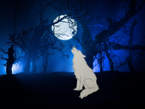 Illustrazione del lupo che ulula alla luna nel bosco notturno. Trame di Bosco, Clouds & Draws