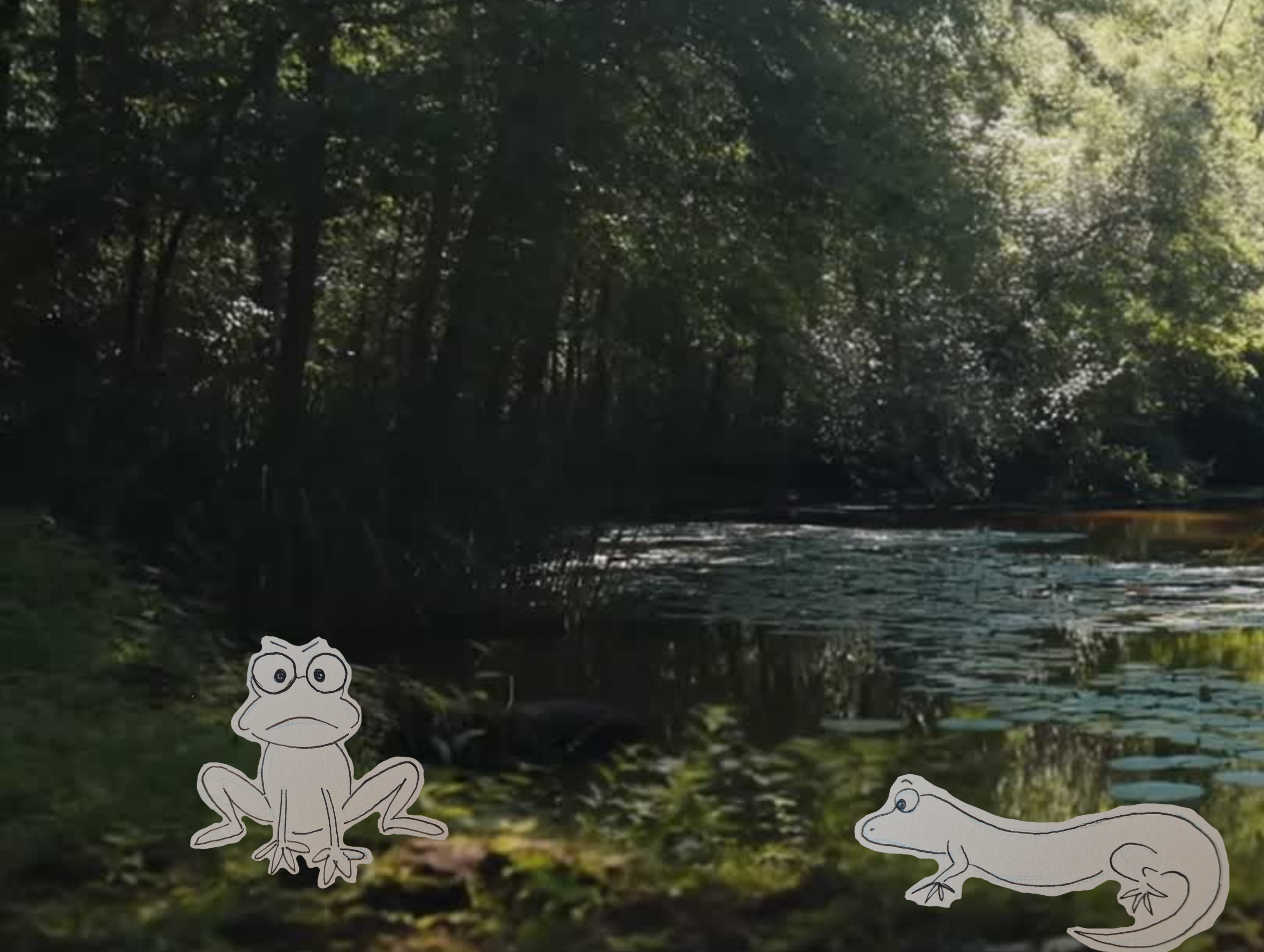 Scopri di più sull'articolo Trame di Bosco – La rana, la lucertola e la foglia misteriosa