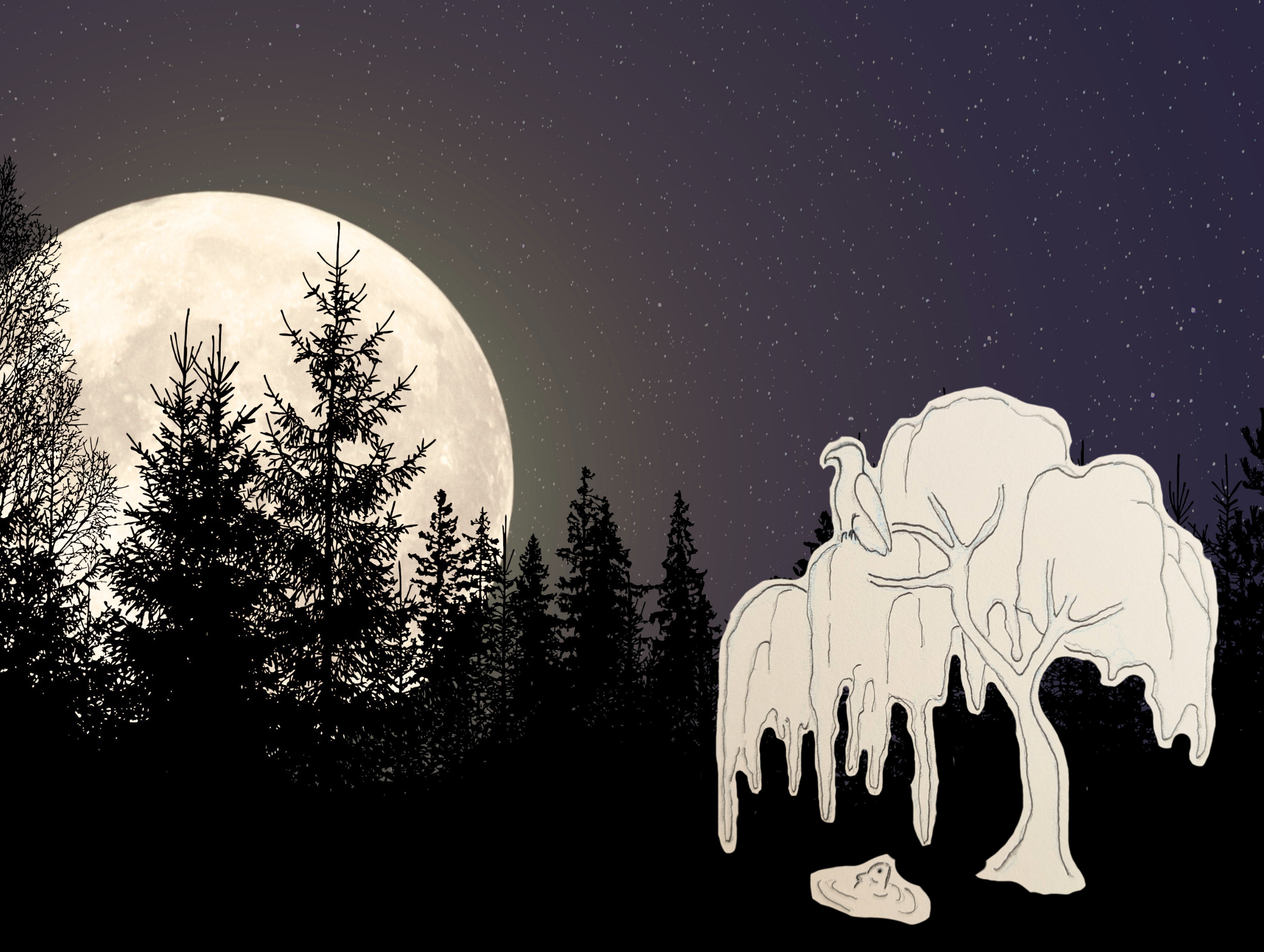 Scopri di più sull'articolo Trame di Bosco – La notte in cui la luna scese a terra